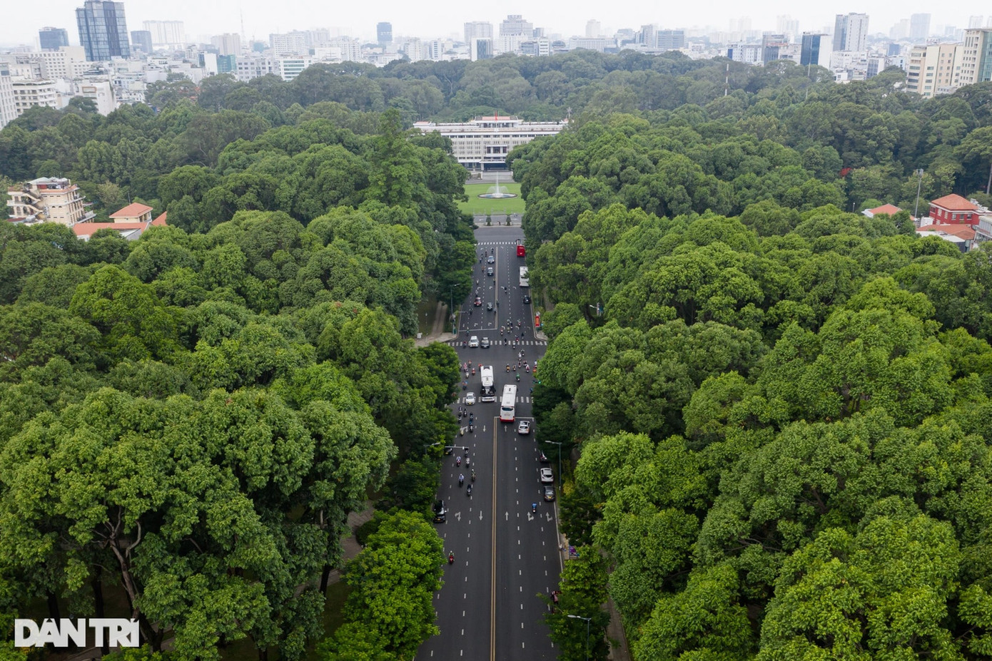 Dưới cái nắng nóng gay gắt của tiết trời TPHCM thời gian gần đây, khi lưu thông qua các tuyến đường phủ bóng cây xanh, người dân luôn thấy thoải mái, dễ dịu hơn. Những tán cây cao, rợp bóng hệt như những chiếc ô khổng lồ che mát cho người đi đường. Ngoài một số cây xanh trồng từ thời Pháp như sao, dầu, sọ khỉ..., cây xanh ở TPHCM thời gian sau này được bổ sung thêm một số loại như sao đen, lim sét, viết, long não. Ngoài bóng mát, cây có hoa như kèn hồng, bò cạp vàng… cũng được trồng để tạo cảnh quan. Dưới cái nắng nóng gay gắt của tiết trời TPHCM thời gian gần đây, khi lưu thông qua các tuyến đường phủ bóng cây xanh, người dân luôn thấy thoải mái, dễ dịu hơn. Những tán cây cao, rợp bóng hệt như những chiếc ô khổng lồ che mát cho người đi đường. Ngoài một số cây xanh trồng từ thời Pháp như sao, dầu, sọ khỉ..., cây xanh ở TPHCM thời gian sau này được bổ sung thêm một số loại như sao đen, lim sét, viết, long não. Ngoài bóng mát, cây có hoa như kèn hồng, bò cạp vàng… cũng được trồng để tạo cảnh quan.