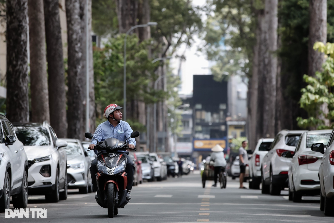 "Hai hàng cây trên đường Sương Nguyệt Anh có tuổi thọ gần cả trăm tuổi, tuổi thơ tôi có những kỉ niệm gắn liền với hàng cây trên con đường này", ông Nguyễn Văn Hồi (quận 1) chia sẻ. "Hai hàng cây trên đường Sương Nguyệt Anh có tuổi thọ gần cả trăm tuổi, tuổi thơ tôi có những kỉ niệm gắn liền với hàng cây trên con đường này", ông Nguyễn Văn Hồi (quận 1) chia sẻ.