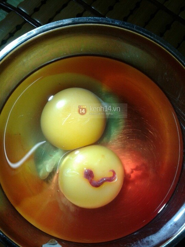 Phát hiện sinh vật lạ trong lòng đỏ trứng gà ảnh 3
