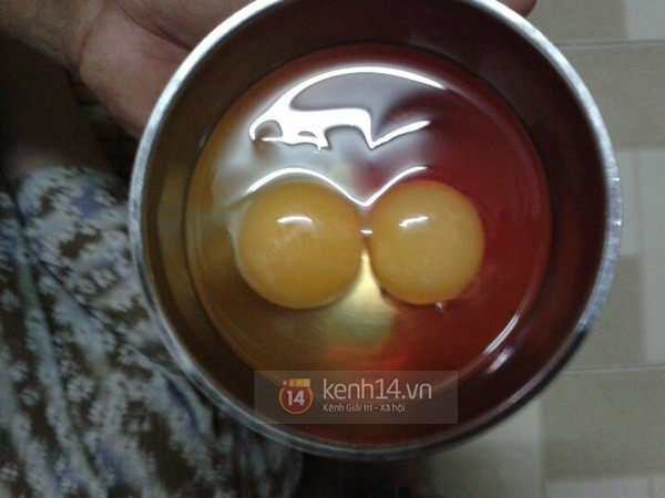 Phát hiện sinh vật lạ trong lòng đỏ trứng gà ảnh 1