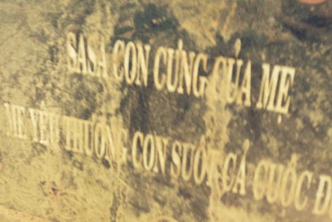 Nữ đại gia bí ẩn mua đất xây 'lâu đài' cho thú vật ảnh 1