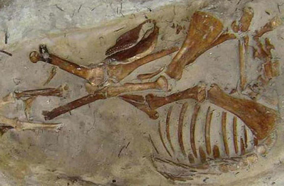 Những bí ẩn chôn trong cổ mộ ảnh 1