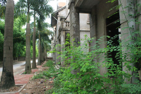 Cả dãy phố nhà đã xây xong phần thô, có nhà đã hoàn thiện đóng cửa im lìm hàng tháng trời