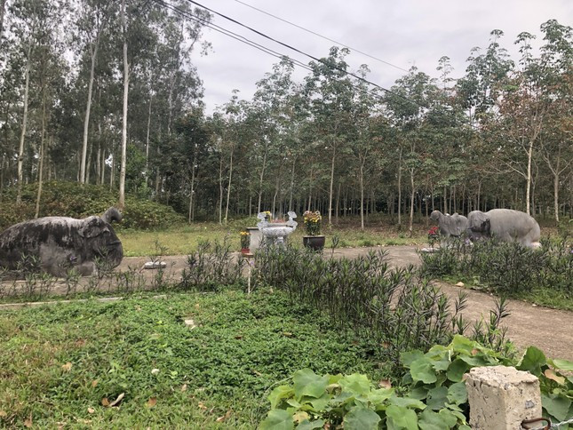 Một góc Kinh đô Vạn Lại xưa.