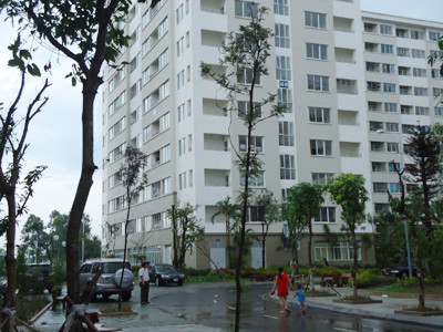 Chung cư Đặng Xá (Gia Lâm, Hà Nội) - nơi kiến ba khoang bắt đầu tấn công. Ảnh: Ngọc Mai