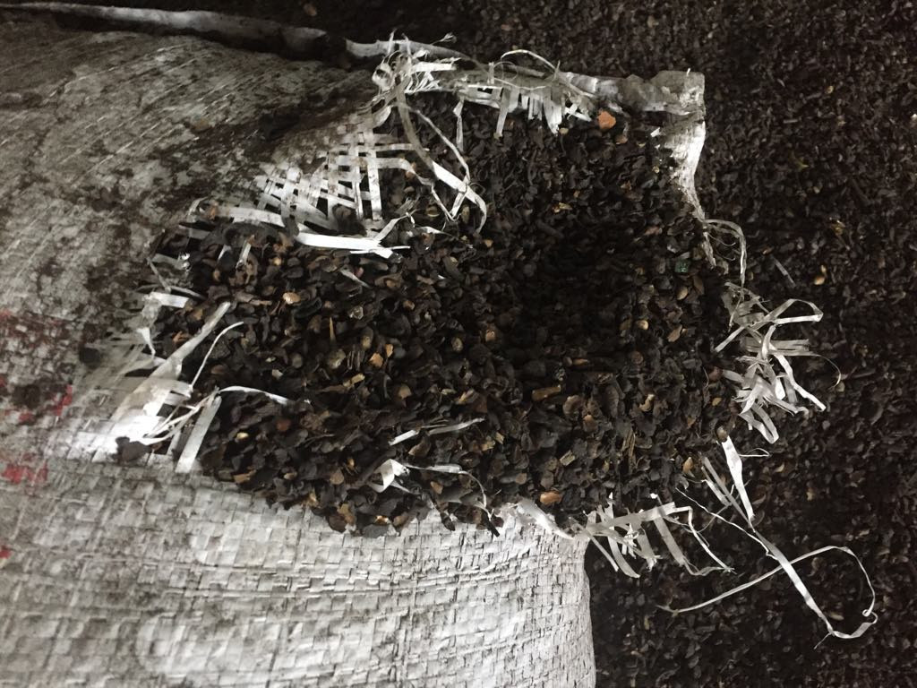 Hé lộ động cơ nhuộm phế phẩm cà phê với pin ảnh 2 Hé lộ động cơ nhuộm phế phẩm cà phê với pin ảnh 2