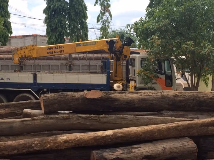 Bộ Công an bắt vụ phá rừng lớn tại Vườn quốc gia Yok Đôn ảnh 2