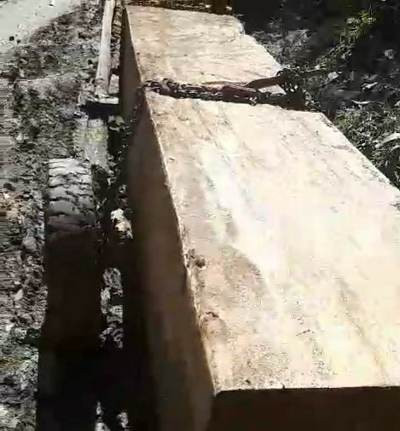 Chủ tịch xã gọi đi bắt lâm tặc, kiểm lâm không đến ảnh 4