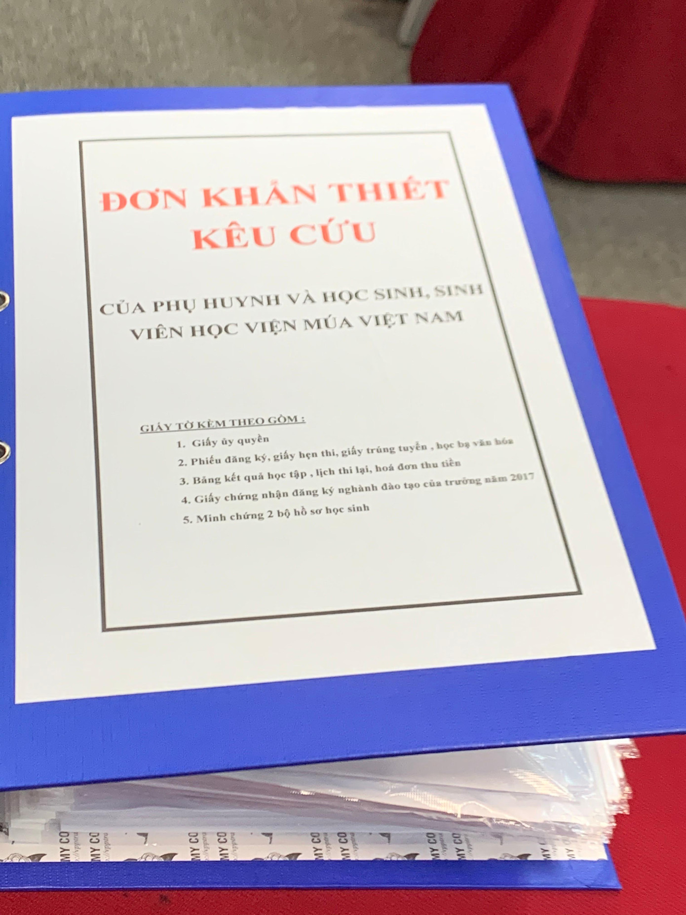 Tập đơn kêu cứu của hơn 300 phụ huynh Học viện Múa Việt Nam. Ảnh Nghiêm Huê Tập đơn kêu cứu của hơn 300 phụ huynh Học viện Múa Việt Nam. Ảnh Nghiêm Huê