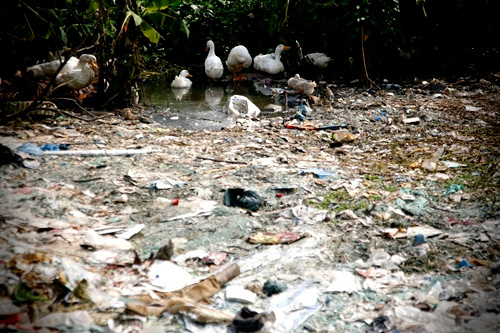 Nước thải trực tiếp đổ ra môi trường bên ngoài. Khắp làng Khoai, các kênh rạch, ao hồ ngập ngụa rác, nước ô nhiễm trầm trọng