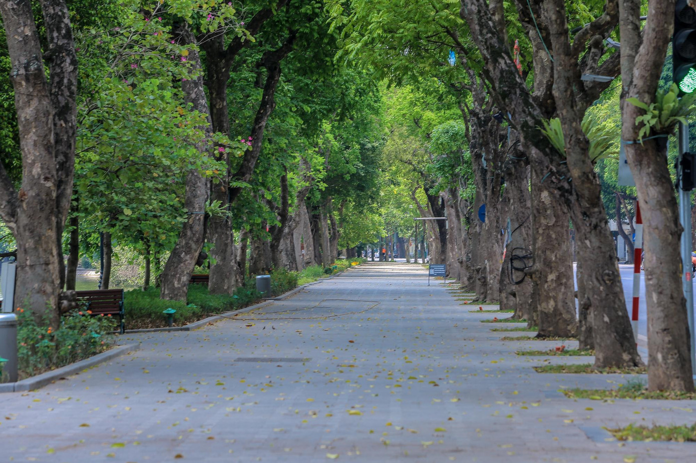 Những ngày không dịch, khu vực này đón hàng vạn khách trong các ngày cuối tuần. Những ngày không dịch, khu vực này đón hàng vạn khách trong các ngày cuối tuần.