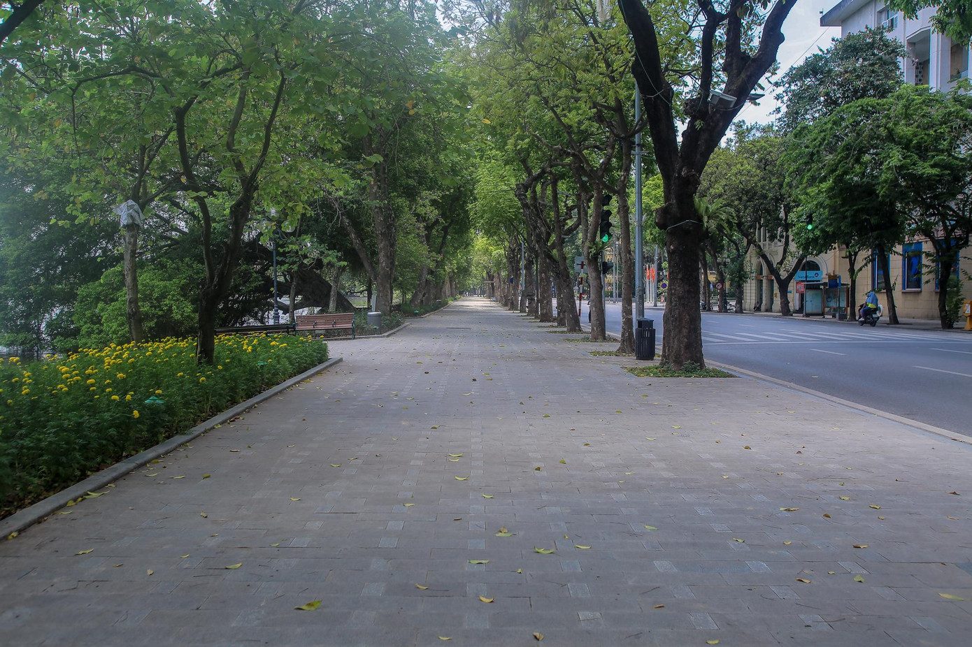 Bờ hồ Hoàn Kiếm hiếm thấy người đi dạo mặc dù là cuối tuần. Bờ hồ Hoàn Kiếm hiếm thấy người đi dạo mặc dù là cuối tuần.