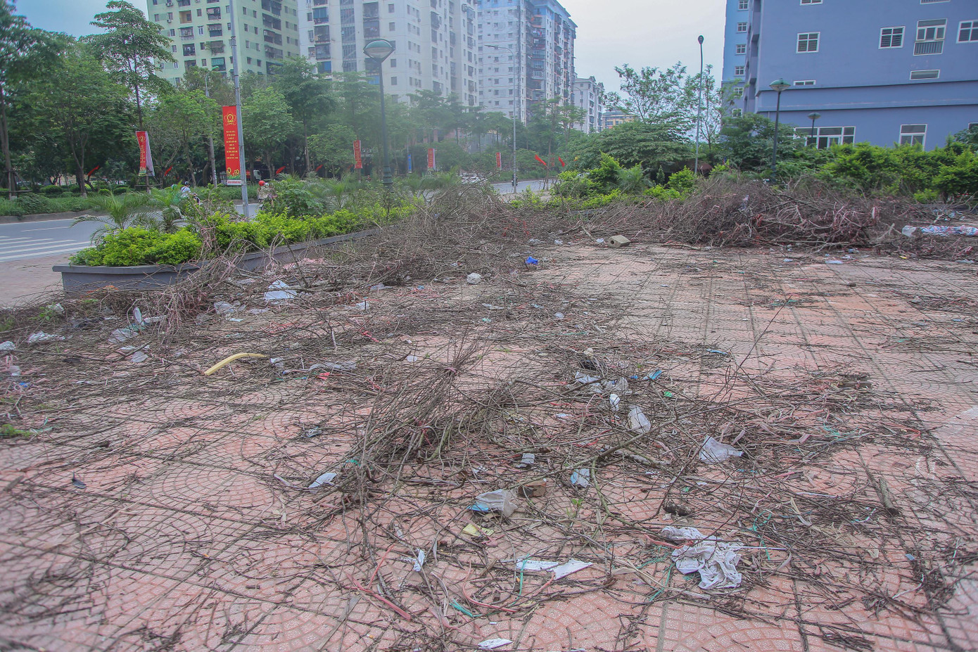 Cành đào được vứt lại từ dịp Tết cũng chẳng ai dọn.