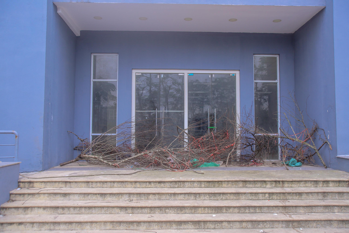 Rác được tập kết ngay cửa tòa nhà.