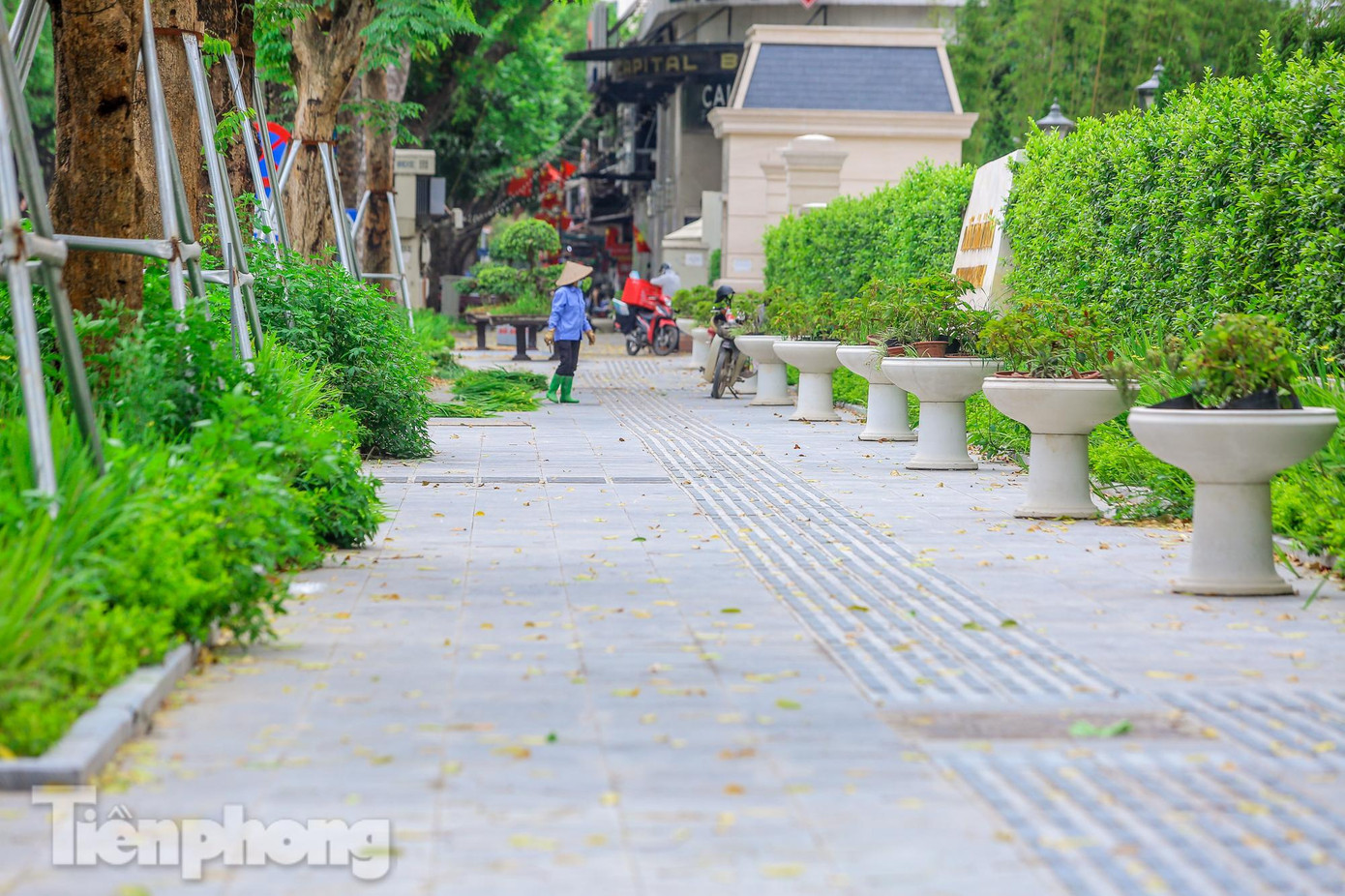 Con phố vỉa hè phủ màu xanh sau khi cải tạo, chỉnh trang.