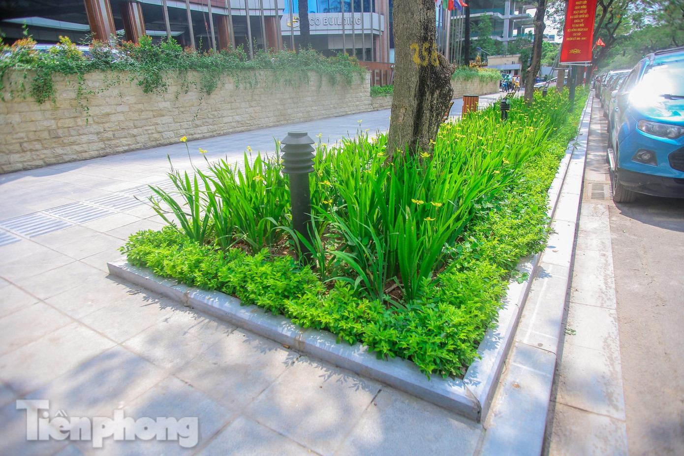 Bồn hoa, thảm cỏ xanh mướt làm tăng vẻ đẹp trên các tuyến phố.