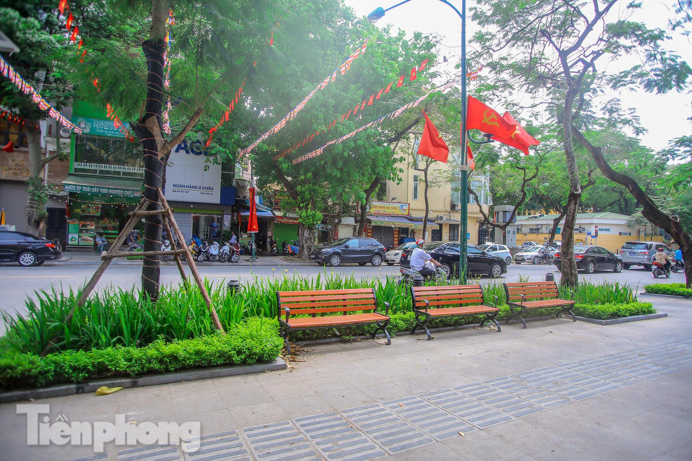 Dải thảm cỏ xanh kết hợp trang thiết bị đô thị gồm ghế ngồi, chiếu sáng cảnh quan tại các bồn hoa.