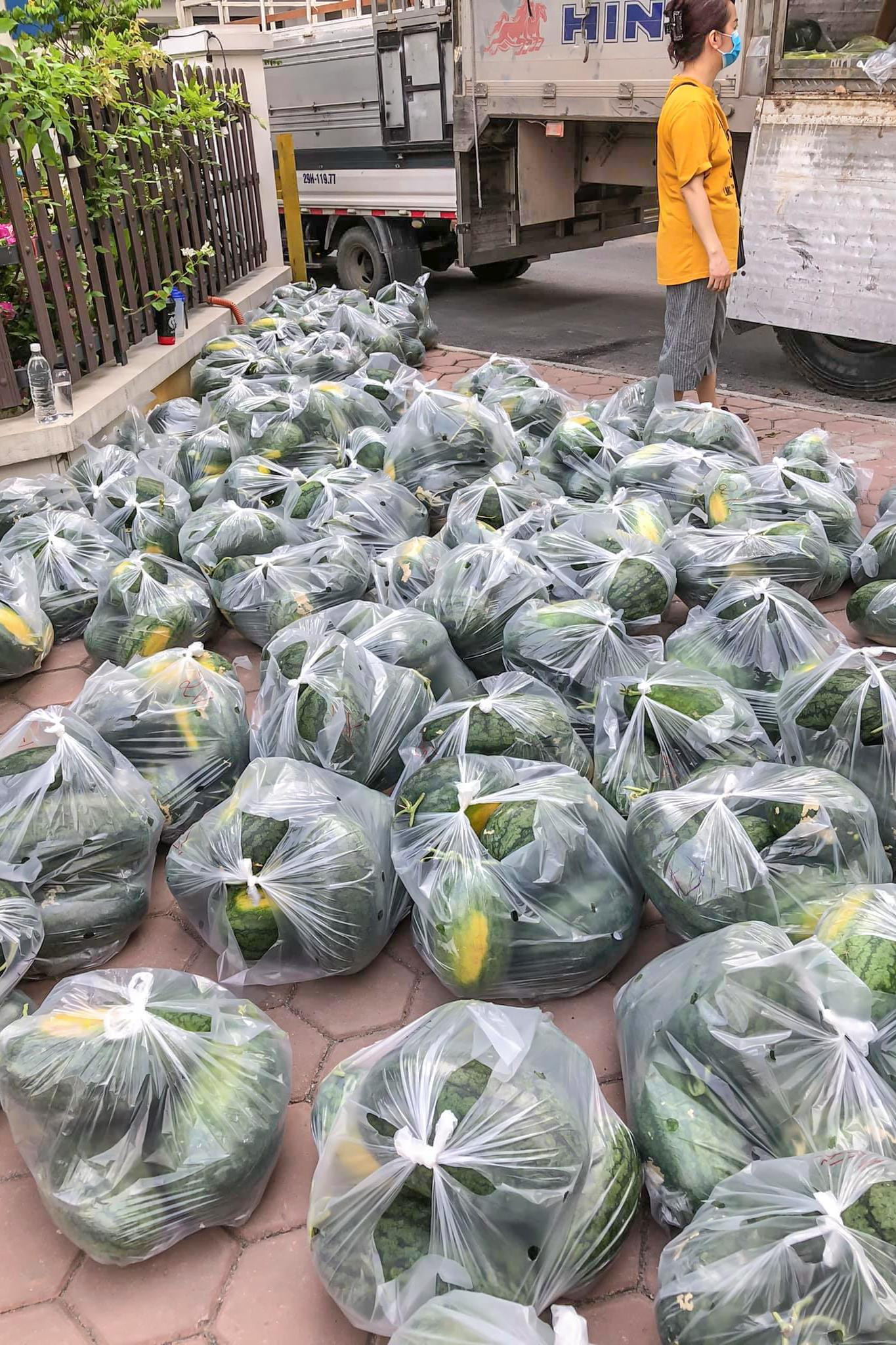 Dưa hấu được bày bán theo túi tại một trong những địa điểm giải cứu.