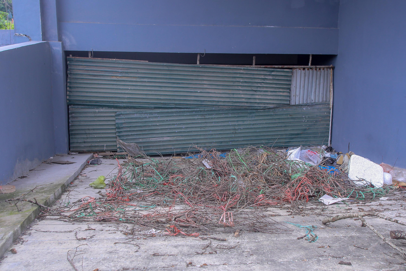 Lối xuống hầm được bịt lại bằng những tấm tôn, bên ngoài là rác.