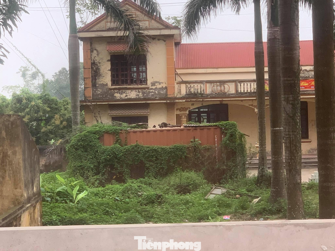 Lô gỗ sưa trăm tỷ chưa thể đấu giá lần thứ 5.