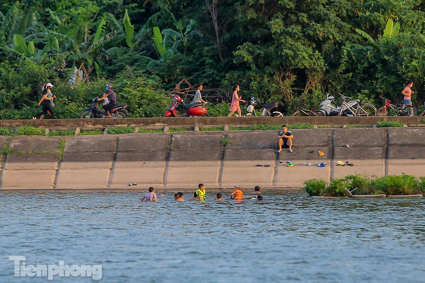 Từng tốp nối đuôi nhau tụ tập, bơi ngay giữa lòng hồ.