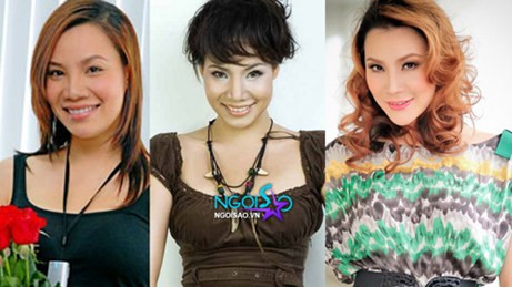 Hình ảnh Hồ Quỳnh Hương thay đổi nhiều theo thời gian