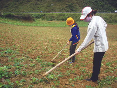 Những thửa ruộng nhấp nhô và đầy đá sỏi không đủ nuôi sống gia đình chị Hồng và người dân Chày Lập. Những thửa ruộng nhấp nhô và đầy đá sỏi không đủ nuôi sống gia đình chị Hồng và người dân Chày Lập