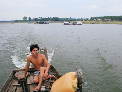 Tèo mới lấy vợ, muốn chuyển sang làm công nhân cao su