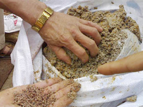 Ảnh minh họa. Ảnh minh họa