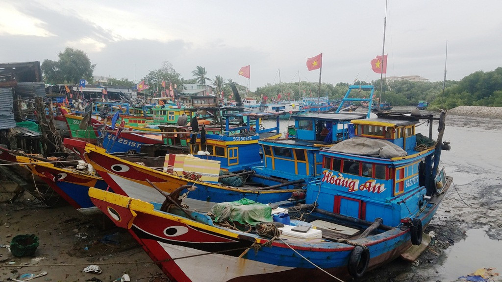 Bão số 16 - Tembin giảm còn cấp 8 - 9, cách Côn Đảo 130km ảnh 12 Bão số 16 - Tembin giảm còn cấp 8 - 9, cách Côn Đảo 130km ảnh 12