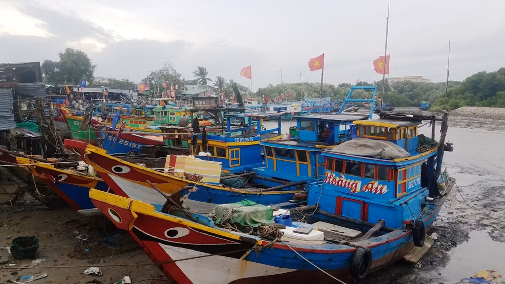 Bão số 16 - Tembin giảm còn cấp 8 - 9, cách Côn Đảo 130km ảnh 12