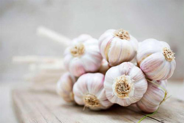 Thần dược hàng nghìn năm tuổi, chữa bách bệnh nhà nào cũng nên có ảnh 1