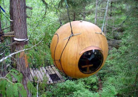 Nhà bóng ở đảo Vancouver. Chủ nhân của nó sẵn sàng cho du khách thuê ngắn hạn nếu bạn có nhu cầu