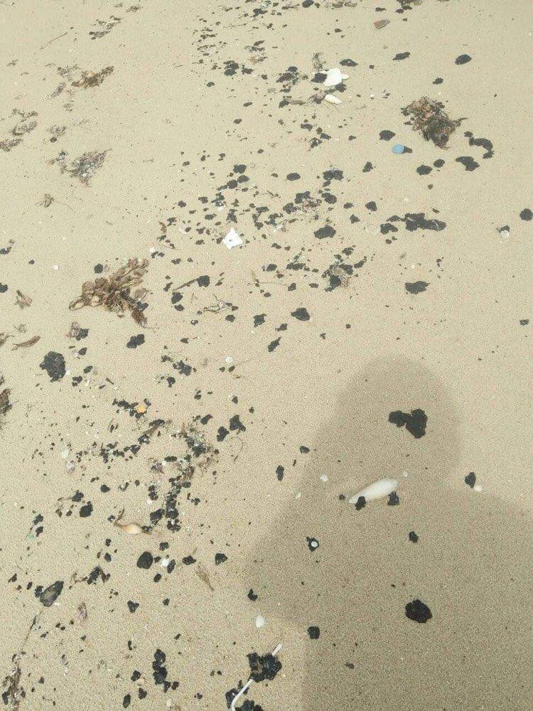 Dầu vón cục trôi dạt vào bờ biển của huyện Vĩnh Linh kéo dài hàng chục cây số. Dầu vón cục trôi dạt vào bờ biển của huyện Vĩnh Linh kéo dài hàng chục cây số.