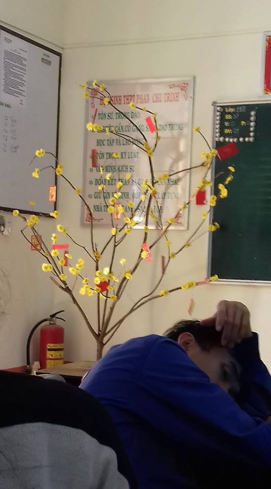 Lớp học trang trí Tết cực kì ấn tượng được tán thưởng trên mạng xã hội ảnh 14