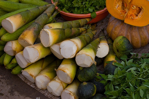 Măng đắng không chỉ là món ăn phổ biến của đồng bào miền núi, mà còn của cả khách du lịch miền xuôi