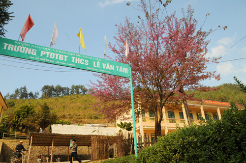 Bên cạnh những ruộng bậc thang đẹp như tranh vẽ, nơi đây còn có nhiều cây đ