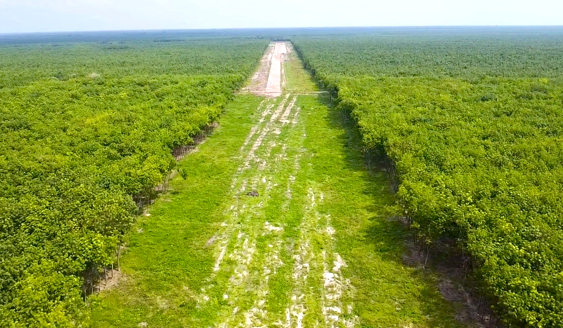 Đường cao tốc TPHCM - Thủ Dầu Một - Chơn Thành đoạn qua rừng cao su ở Bình Dương Đường cao tốc TPHCM - Thủ Dầu Một - Chơn Thành đoạn qua rừng cao su ở Bình Dương