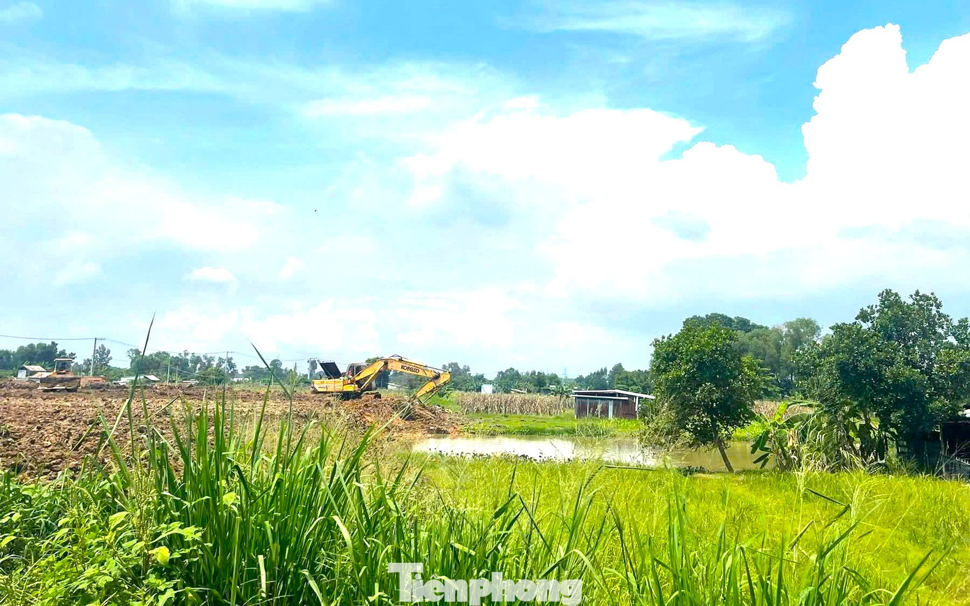 Hiện nay, tại khu vực làng hoa Tân Ba, UBND tỉnh Bình Dương đã phê duyệt dự án đầu tư xây dựng tổ hợp giáo dục đào tạo (đại học, đào tạo nghề, THPT, THCS và tiểu học). Tổng mức đầu tư của dự án là 543 tỷ đồng. Trong đó, chi phí thực hiện dự án khoảng 472,7 tỷ đồng, chi phí bồi thường khoảng 21 tỷ đồng, còn lại là chi phí dự phòng. Hiện nay, tại khu vực làng hoa Tân Ba, UBND tỉnh Bình Dương đã phê duyệt dự án đầu tư xây dựng tổ hợp giáo dục đào tạo (đại học, đào tạo nghề, THPT, THCS và tiểu học). Tổng mức đầu tư của dự án là 543 tỷ đồng. Trong đó, chi phí thực hiện dự án khoảng 472,7 tỷ đồng, chi phí bồi thường khoảng 21 tỷ đồng, còn lại là chi phí dự phòng.