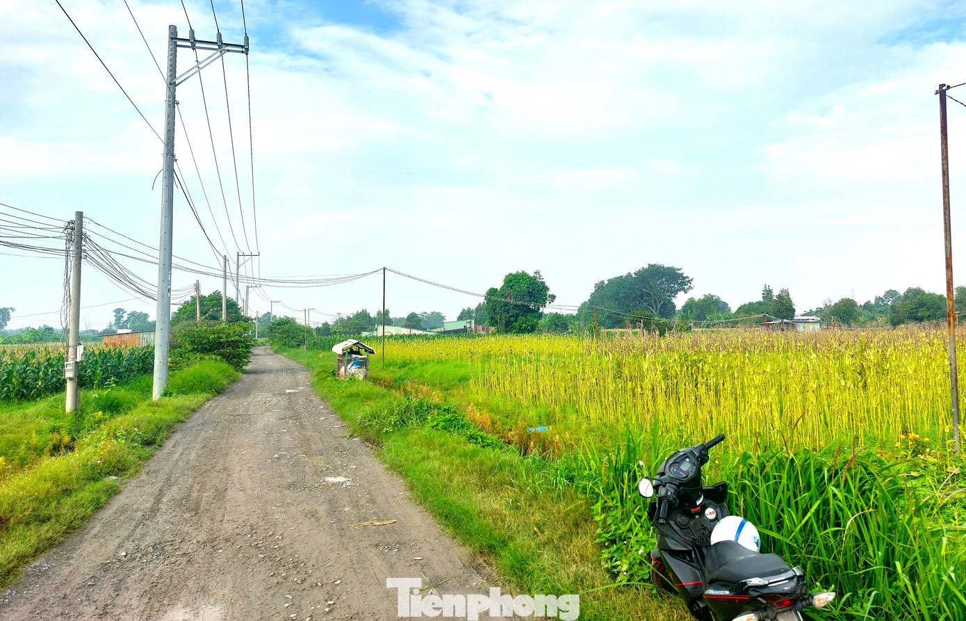 Với diện tích gần 10 ha, làng hoa Tân Ba là nơi cung cấp số lượng lớn hoa phục vụ cho thị trường. Nơi đây cũng từng là điểm đến, thu hút nhiều du khách đến “check in”. Với diện tích gần 10 ha, làng hoa Tân Ba là nơi cung cấp số lượng lớn hoa phục vụ cho thị trường. Nơi đây cũng từng là điểm đến, thu hút nhiều du khách đến “check in”.