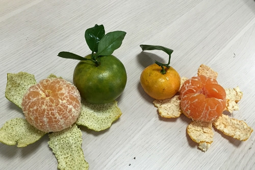 Quýt ngọt 15.000 đồng/kg tràn lòng đường Hà Nội ảnh 2