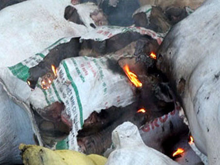 Lô hàng thịt trâu, bò và lòng heo đang bốc mùi hôi thối bị phát hiện và tiêu hủy. Ảnh: VnExpress Lô hàng thịt trâu, bò và lòng heo đang bốc mùi hôi thối bị phát hiện và tiêu hủy