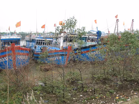 Tàu, thuyền tránh trú bão tại thị xã Sầm Sơn (Thanh Hóa). Ảnh: Hoàng Lam