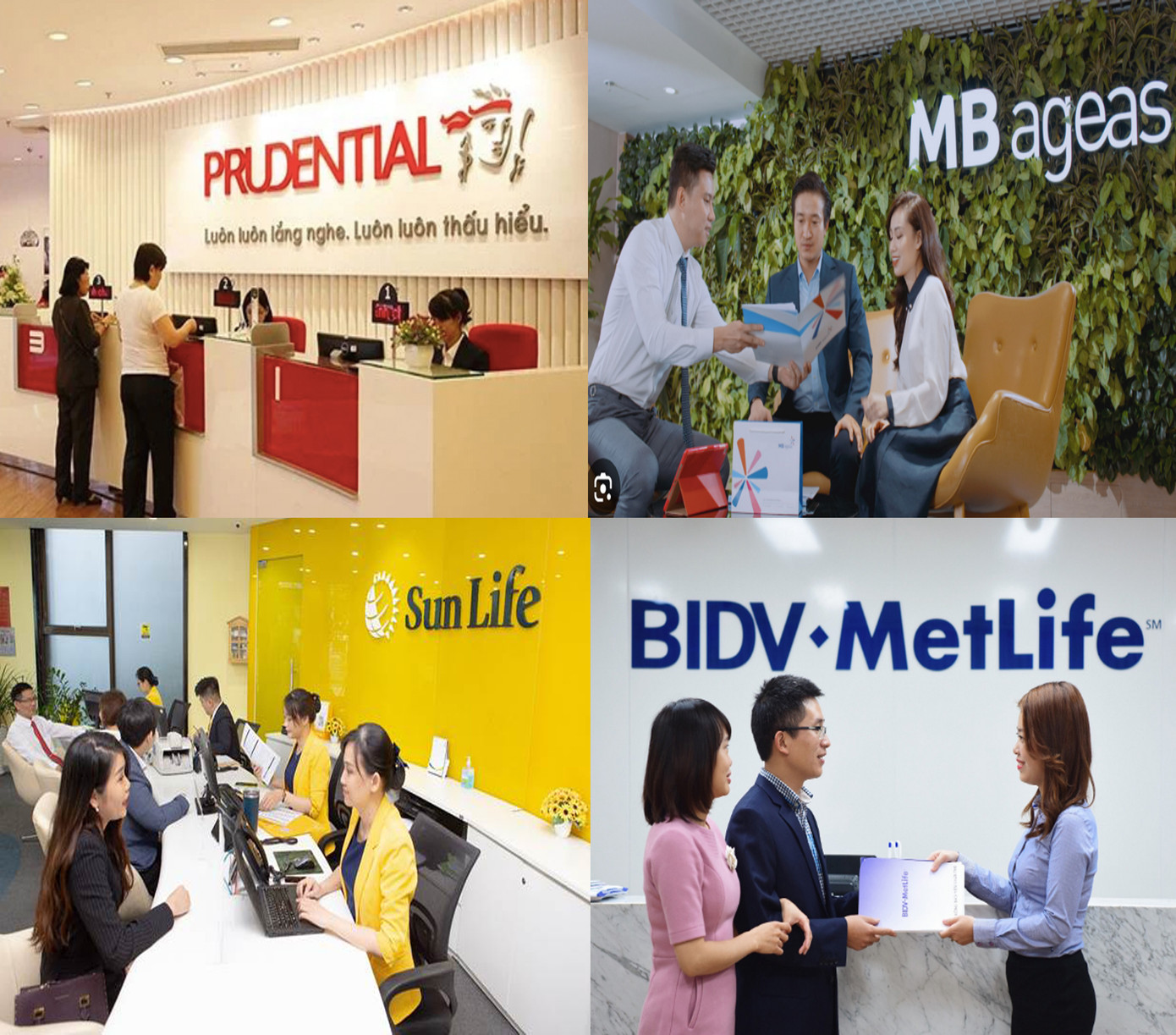 Bốn doanh nghiệp bảo hiểm đang thực hiện yêu cầu trong kết luận thanh tra.