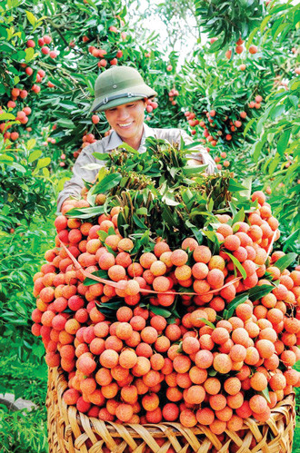 Khi Bộ trưởng, Chủ tịch tỉnh tiếp thị nông sản ảnh 1