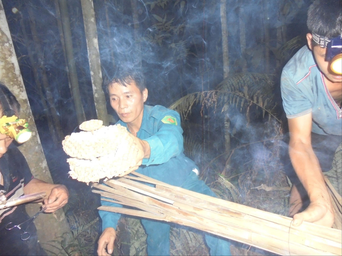 Săn loài ong kịch độc: Ăn lộc rừng vẫn phải cầm chừng ảnh 2