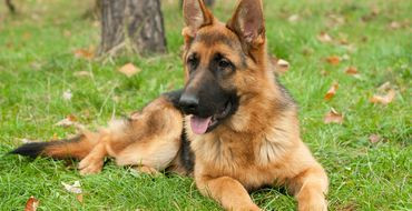 95 nghìn USD cho 6 giờ lưu trú của Đệ nhất phu nhân Mỹ ảnh 5