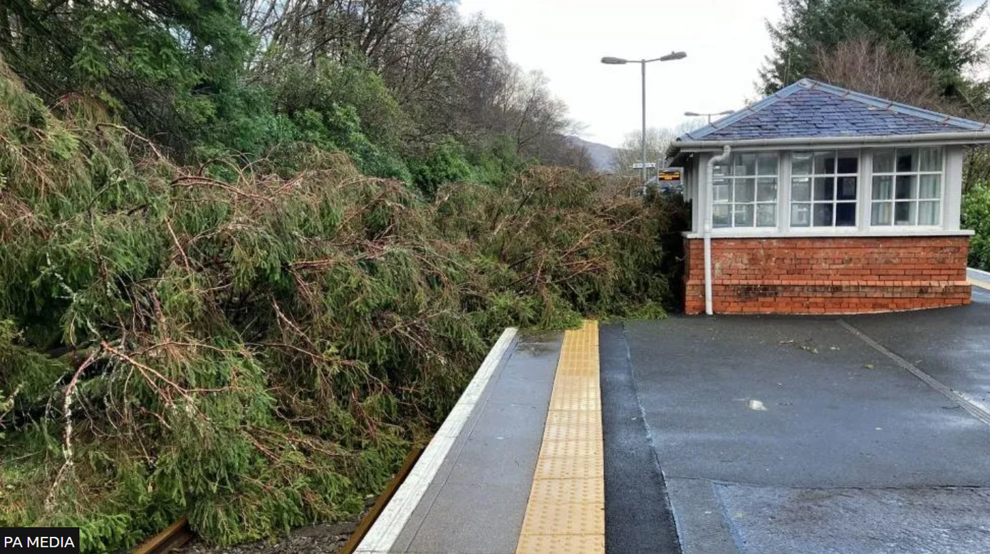 Cây đổ đè vào đường ray ở ga Arrochar &amp; Tarbet (thuộc vùng Cao nguyên ở Scotland) sáng 22/1.