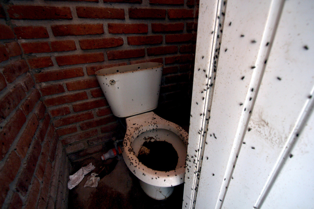 Điều kiện vệ sinh vô cùng bẩn thỉu. Điều kiện vệ sinh vô cùng bẩn thỉu