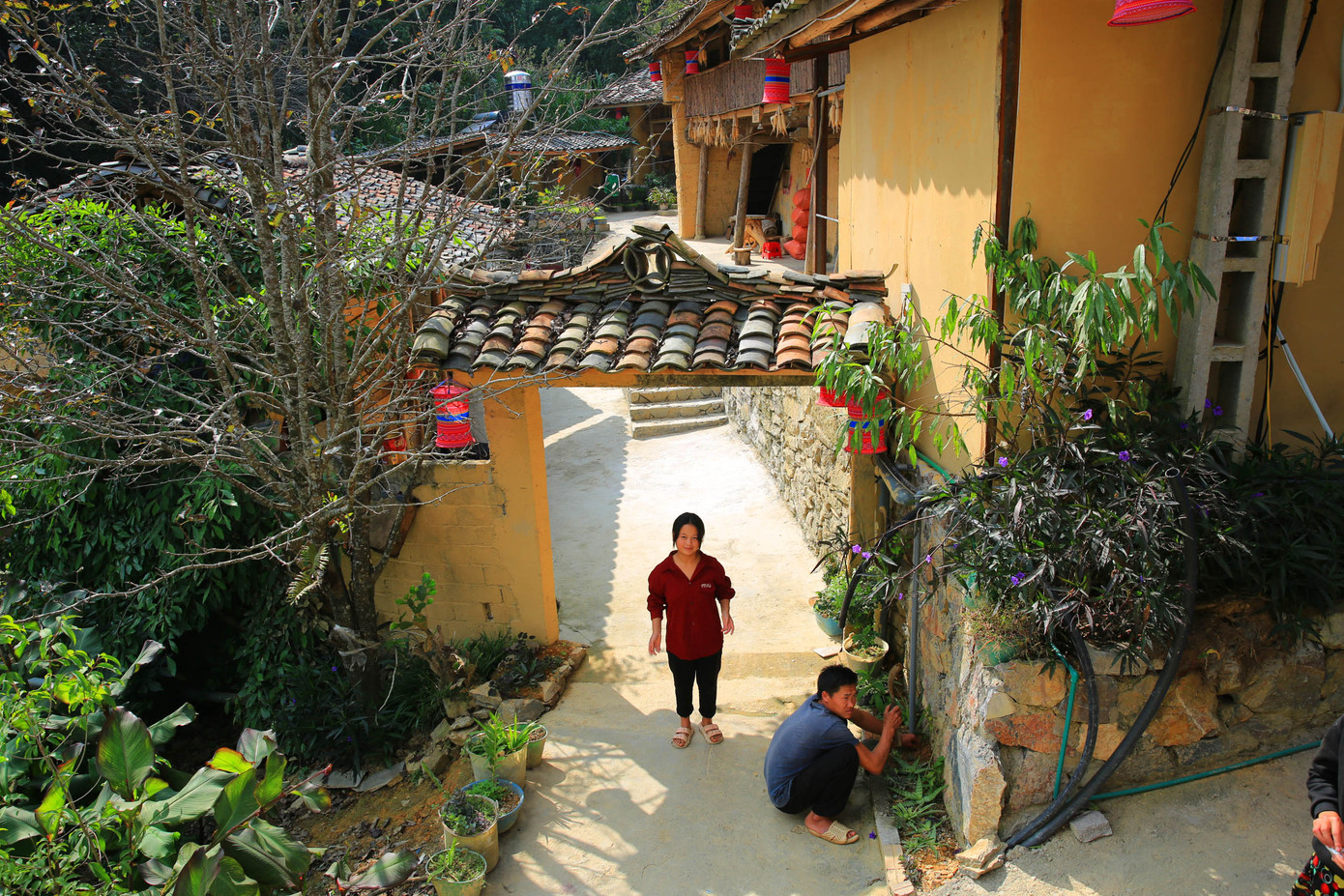 Cuối mùa Thu, tại Thèn Pả khá mát mẻ. Những nương ngô, thửa ruộng bậc thang xanh rì trông vô cùng bắt mắt. Những ánh nắng vàng đầu hè rạng rỡ rọi chiếu trên hàng rào đá xanh xen lẫn màu tường đất vàng ươm của nhà trình trường, mái ngói âm dương nâu thẫm càng làm tăng thêm dáng vẻ lung linh.